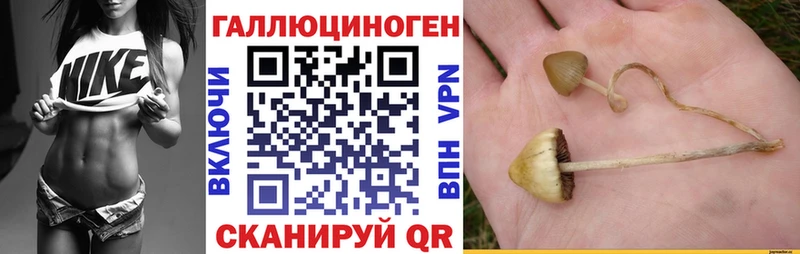 Галлюциногенные грибы MAGIC MUSHROOMS  ссылка на мегу tor  Ессентуки  как найти закладки 