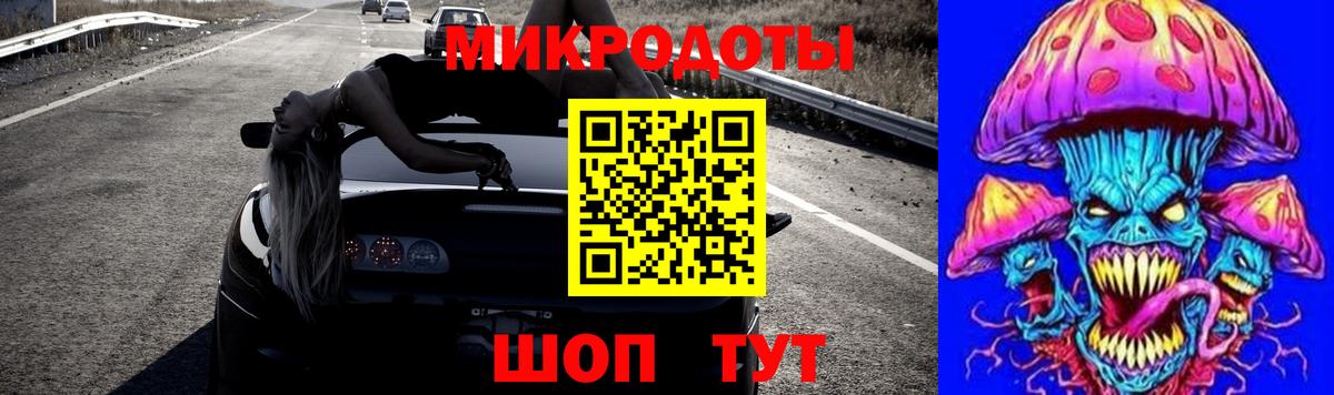 Псилоцибиновые грибы Psilocybe Ессентуки